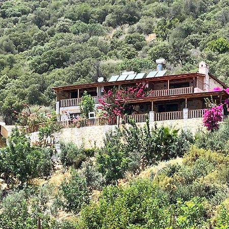 Istlada Tas Ev Apart - Kekova View Kapakli ภายนอก รูปภาพ