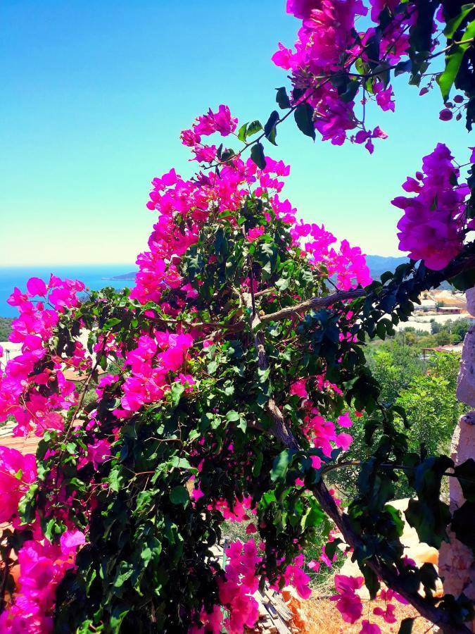 Istlada Tas Ev Apart - Kekova View Kapakli ภายนอก รูปภาพ