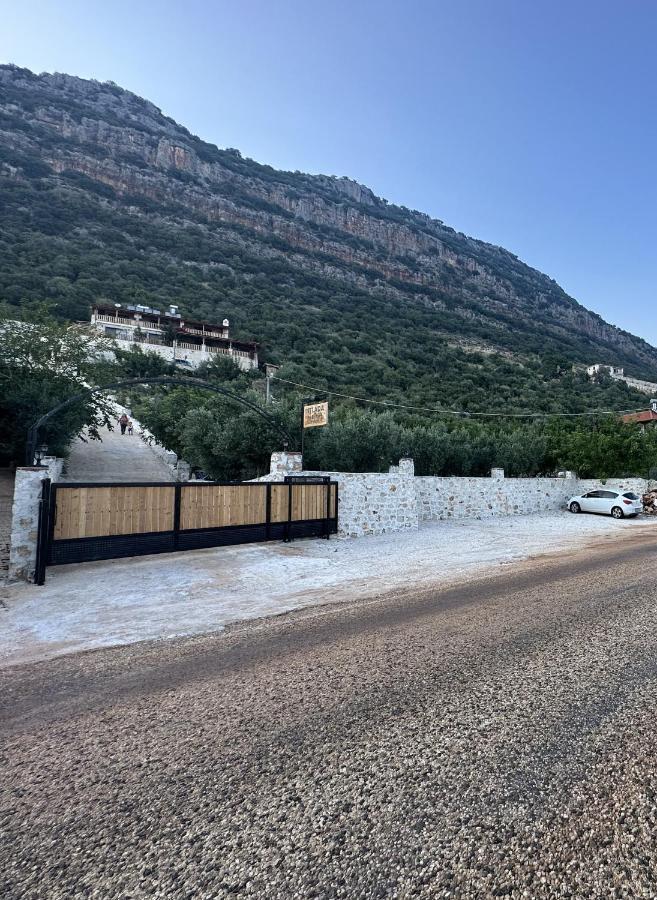 Istlada Tas Ev Apart - Kekova View Kapakli ภายนอก รูปภาพ