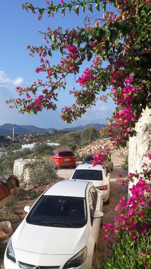 Istlada Tas Ev Apart - Kekova View Kapakli ภายนอก รูปภาพ