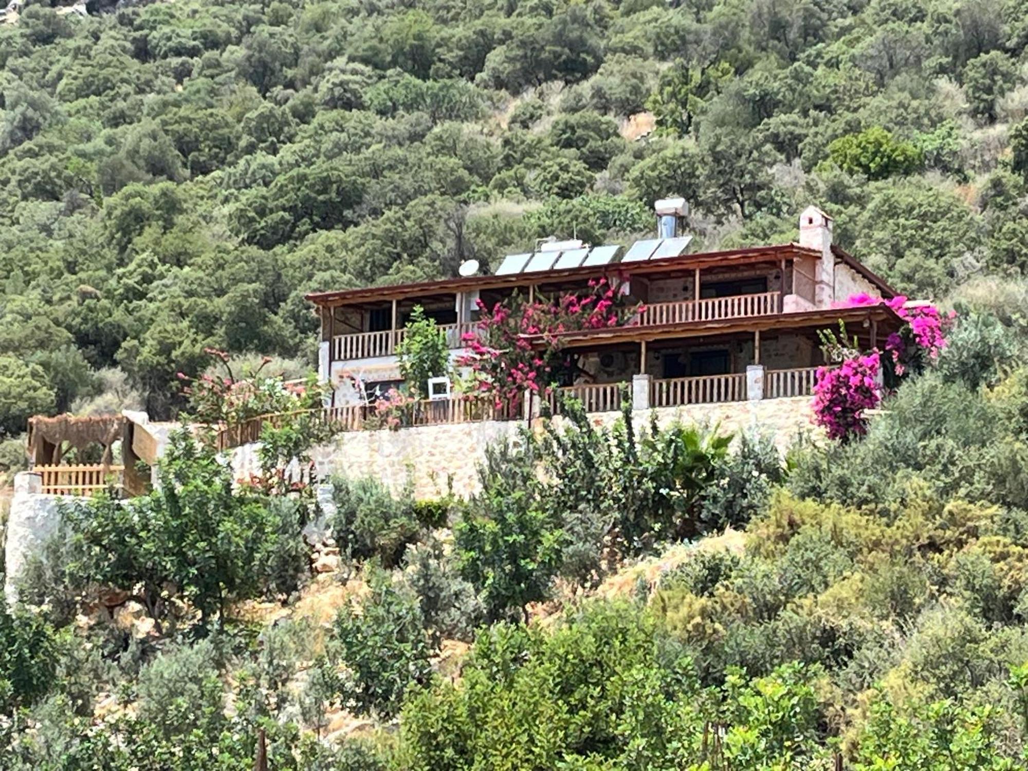 Istlada Tas Ev Apart - Kekova View Kapakli ภายนอก รูปภาพ